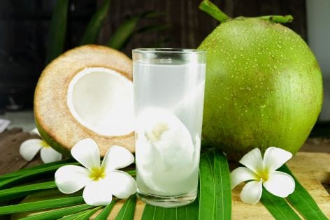 ayurveda drinks Ayurveda drinks
