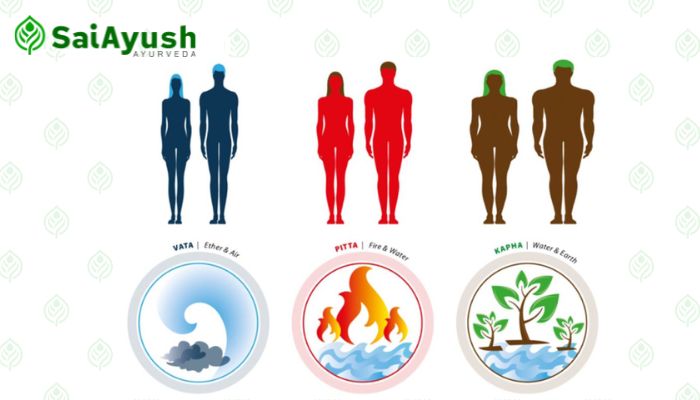 TridoshaVata, Kapha, and Pitta