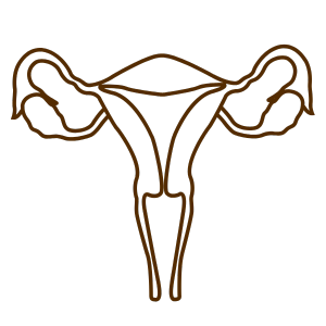Gynecology – sai ayush ayurveda Gynecology