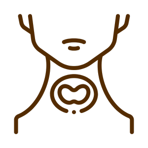 Thyroid – sai ayush ayurveda Thyroid